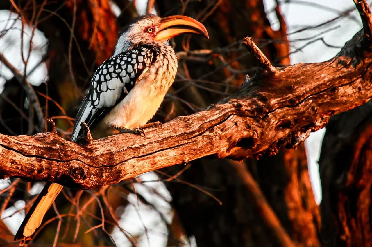Commitment to Conservation and Sustainability