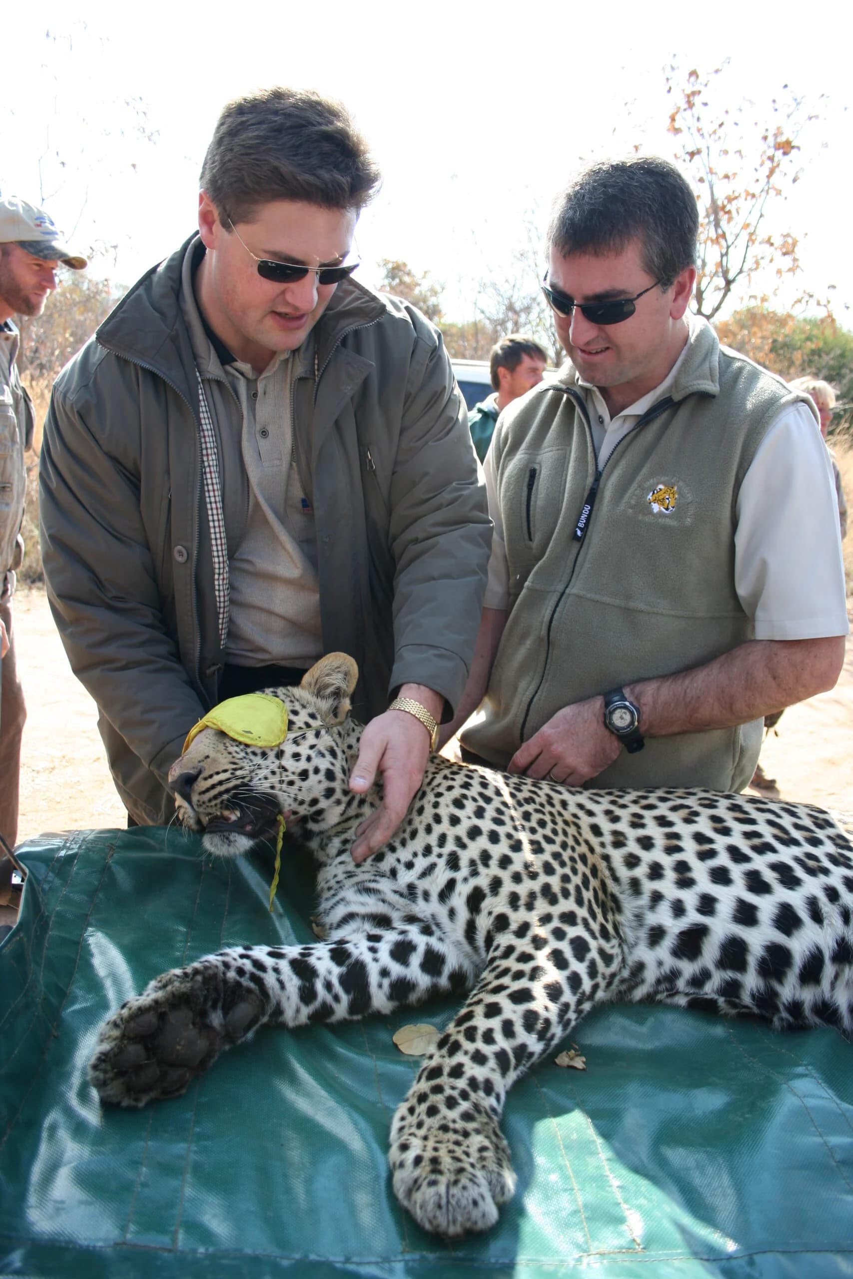 Conservation
