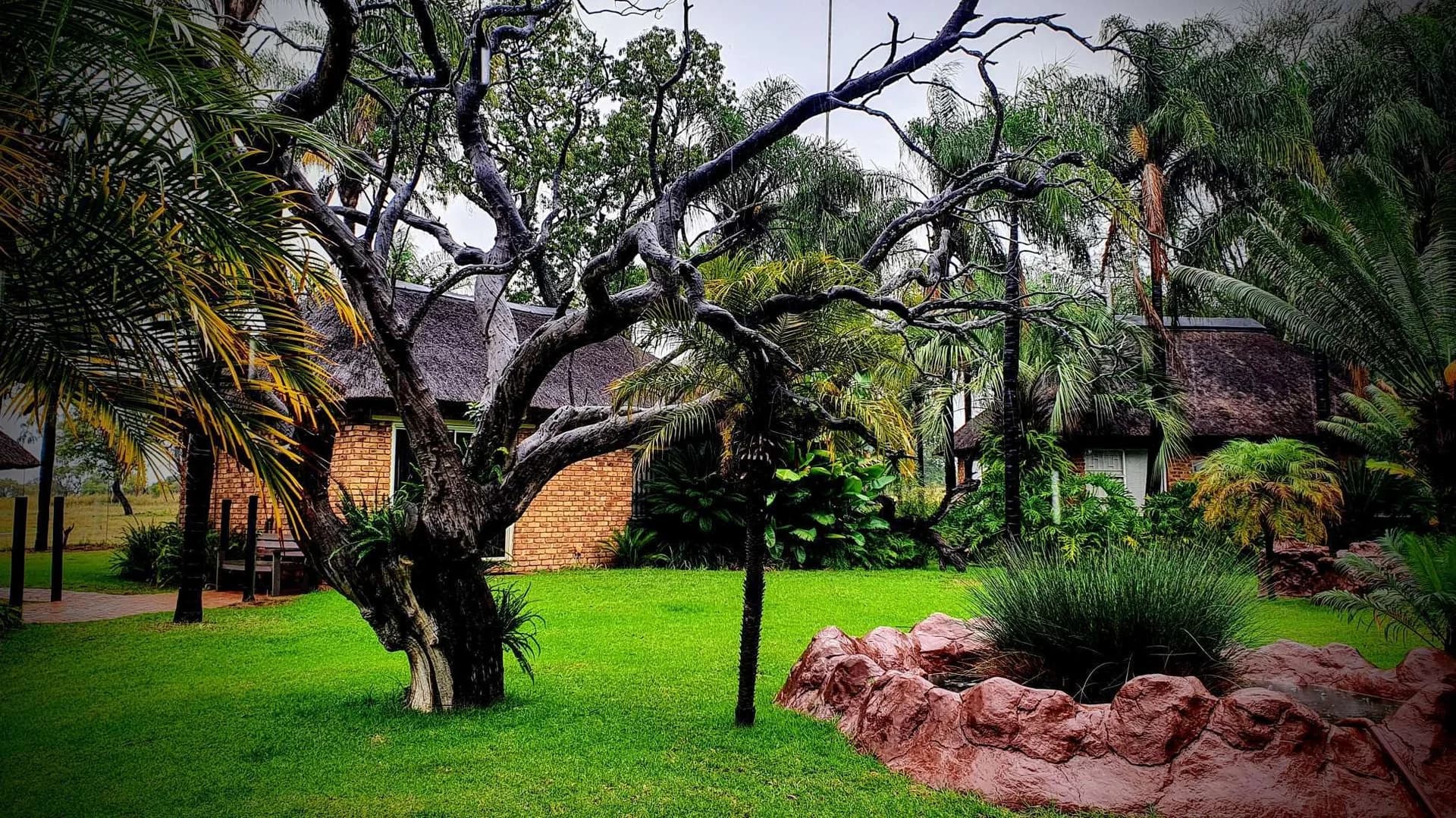 Malaria-Free Family & Conservation Sanctuary