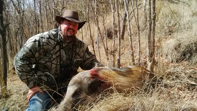 Nocturnal Bushpig Boar Harvested Under the Moonlight