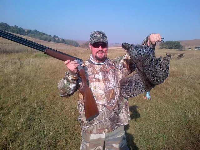 Wing Shooting: Helmeted Guineafowl in Agricultural Lands