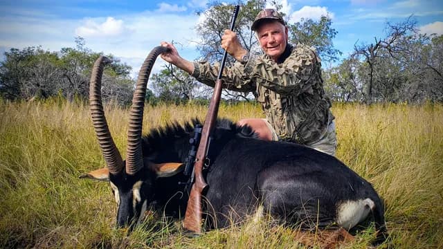 World-Class Sable Bull with Scimitar Horns